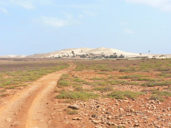 46- Ervatao 